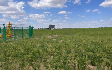 水土保持、矿山地质环境治理恢复、土地复垦试点项目