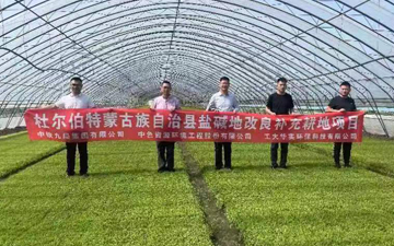 黑龙江省杜蒙县盐碱地改良利用补充耕地项目